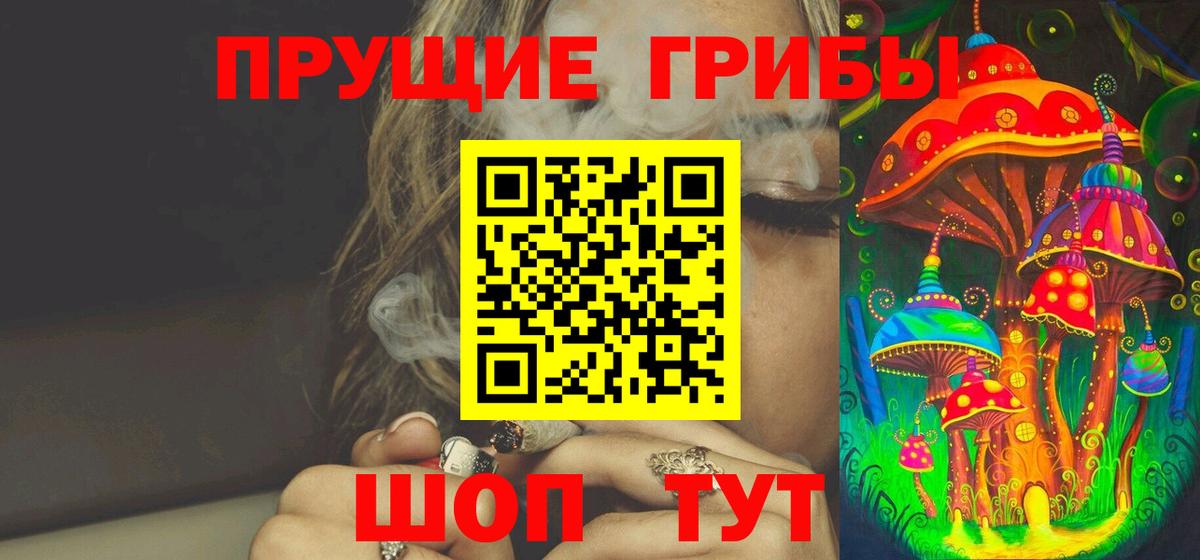Псилоцибиновые грибы Psilocybe  Вход с VPN  Михайловка 